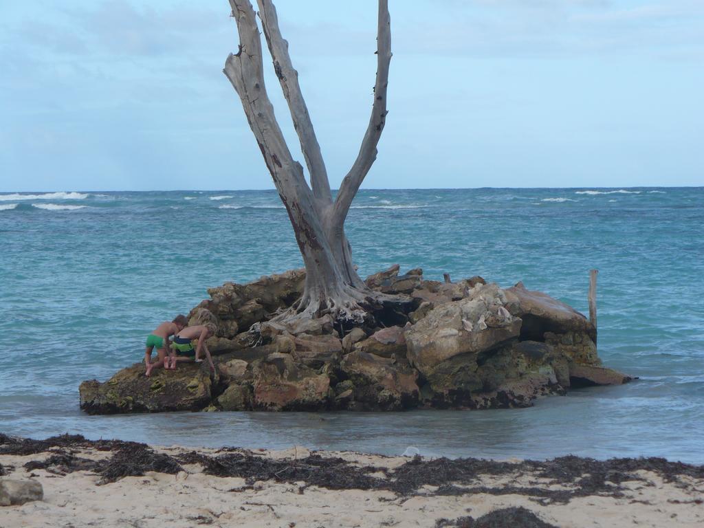 The Sanctuary @ Los Corales Punta Cana Bagian luar foto